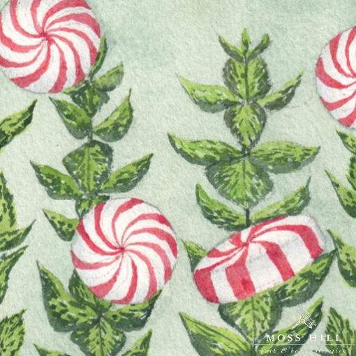 Hannah Pickerill's vibrant watercolor art of peppermint leaves, representing Moss Hill's invigorating Peppermint fragrance.