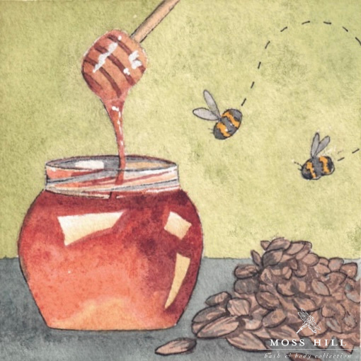 Hannah Pickerill's watercolor art showing warm honey and almond elements for Moss Hill's Honey Almond fragrance, a soothing blend of honey, oatmeal and almond.