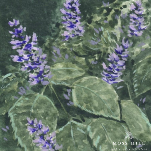 Hannah Pickerill's watercolor art combining earthy patchouli tones with fresh mint leaves for Moss Hill's Patchouli Mint scent, a unique blend.
