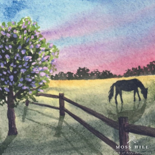 Hannah Pickrill's watercolor art with depicting Southern magnolia blossoms a for Moss Hill's Kentucky Girl scent, a refreshing floral-citrus blend.