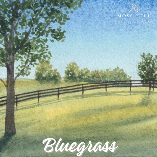 Bluegrass