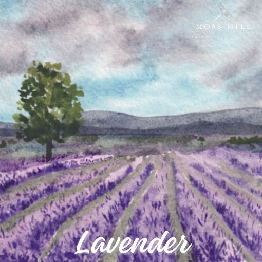Lavender