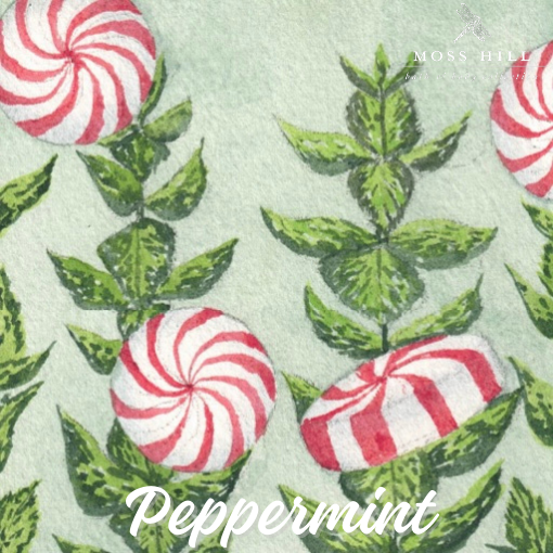Handmade body care products in the scent Peppermint. Made in small-batches by a woman-owned business in Louisville, KY, shipped nationally.